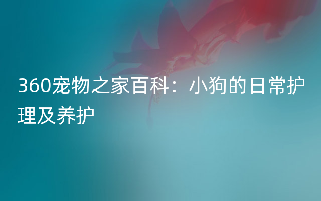 360宠物之家百科：小狗的日常护理及养护