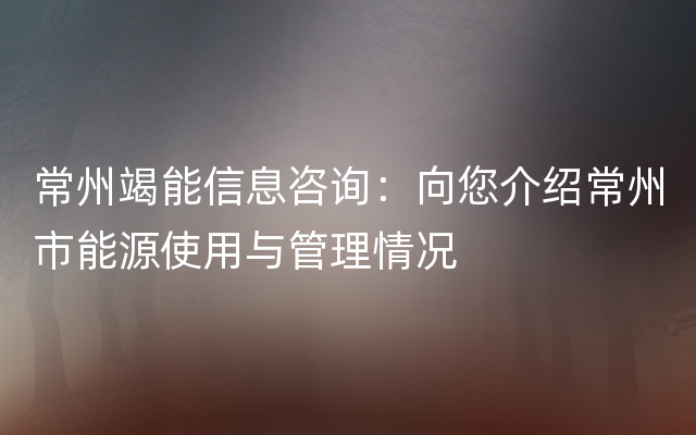 常州竭能信息咨询：向您介绍常州市能源使用与管理情况