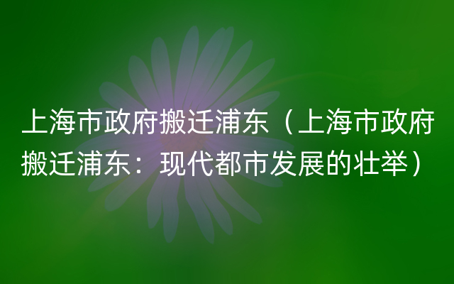 上海市政府搬迁浦东（上海市政府搬迁浦东：现代都市发展的壮举）