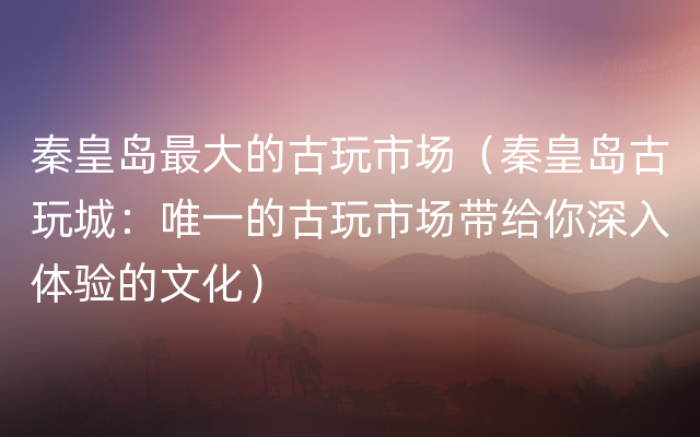 秦皇岛最大的古玩市场（秦皇岛古玩城：唯一的古玩市场带给你深入体验的文化）