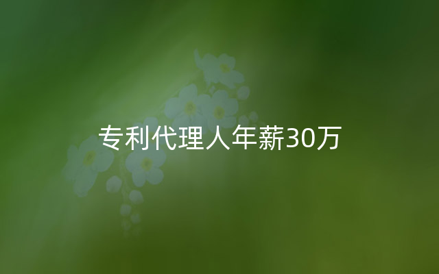 专利代理人年薪30万