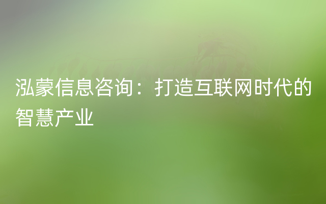 泓蒙信息咨询：打造互联网时代的智慧产业