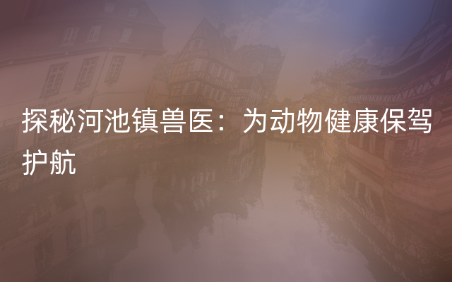 探秘河池镇兽医：为动物健康保驾护航