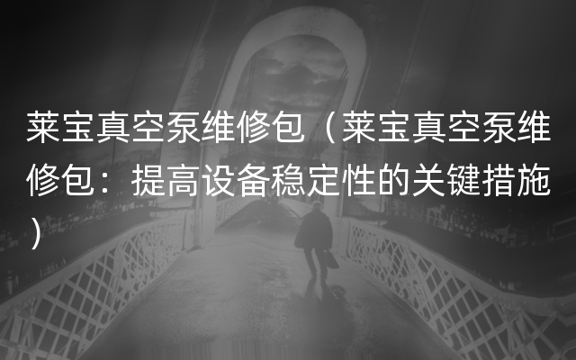 莱宝真空泵维修包（莱宝真空泵维修包：提高设备稳定性的关键措施）