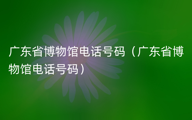 广东省博物馆电话号码（广东省博物馆电话号码）