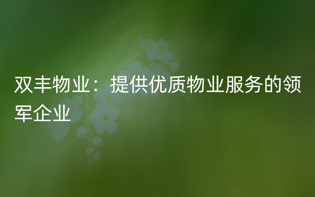 双丰物业：提供优质物业服务的领军企业