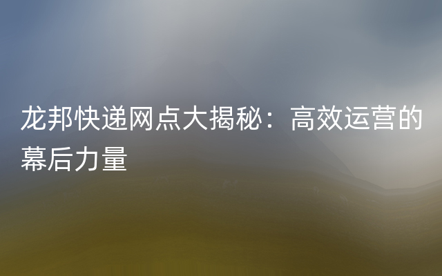 龙邦快递网点大揭秘：高效运营的幕后力量