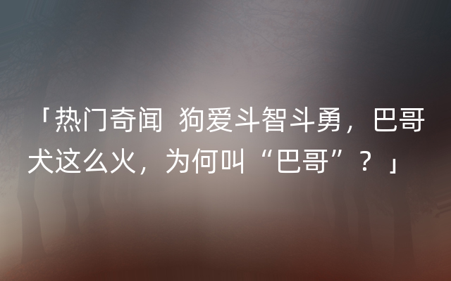 「热门奇闻  狗爱斗智斗勇，巴哥犬这么火，为何叫“巴哥”？」
