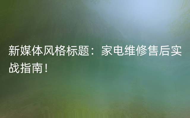 新媒体风格标题：家电维修售后实战指南！