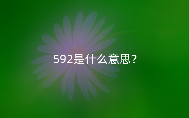 592是什么意思？