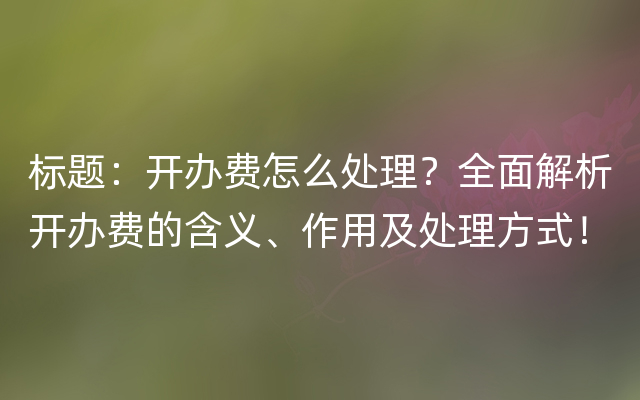 标题：开办费怎么处理？全面解析开办费的含义、作用及处理方式！