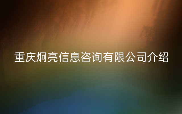 重庆炯亮信息咨询有限公司介绍