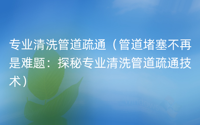 专业清洗管道疏通（管道堵塞不再是难题：探秘专业清洗管道疏通技术）