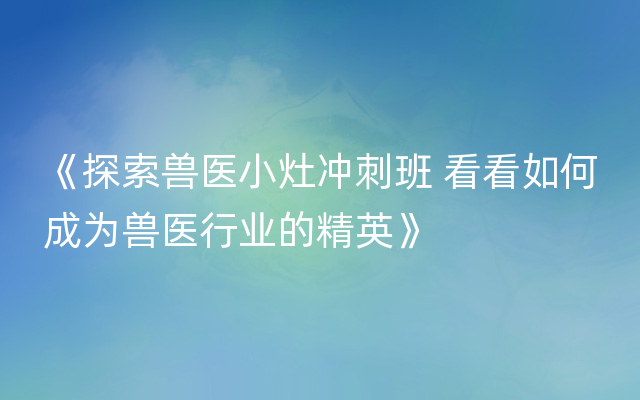 《探索兽医小灶冲刺班 看看如何成为兽医行业的精英》