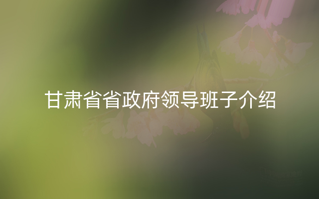 甘肃省省政府领导班子介绍