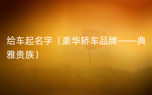 给车起名字（豪华轿车品牌——典雅贵族）