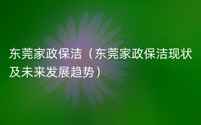 东莞家政保洁（东莞家政保洁现状及未来发展趋势）