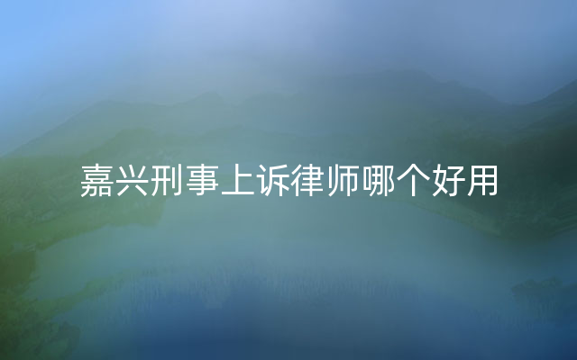 嘉兴刑事上诉律师哪个好用