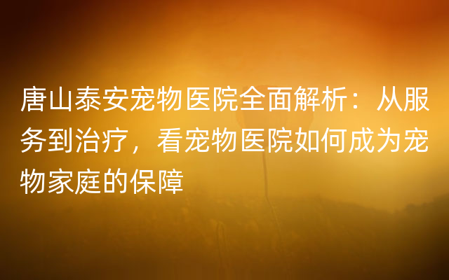 唐山泰安宠物医院全面解析：从服务到治疗，看宠物医院如何成为宠物家庭的保障