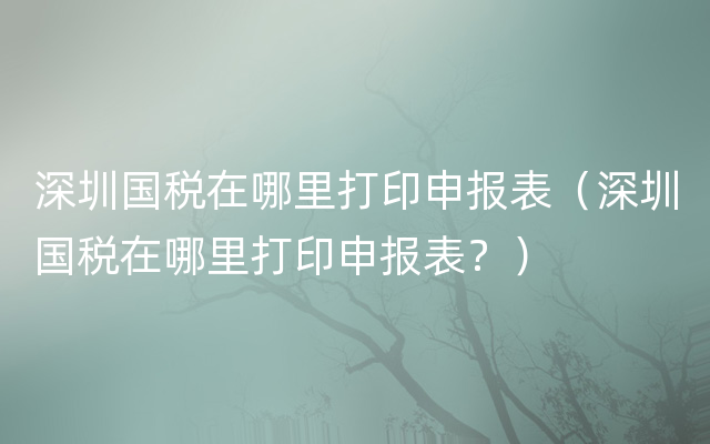 深圳国税在哪里打印申报表（深圳国税在哪里打印申报表？）