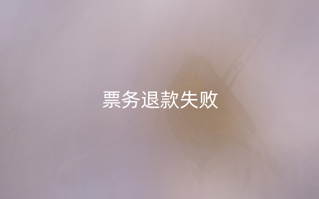 票务退款失败