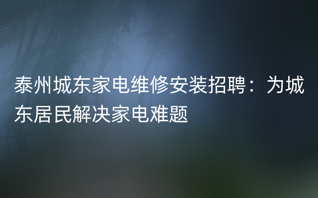 泰州城东家电维修安装招聘：为城东居民解决家电难题