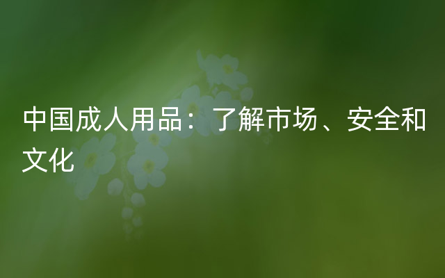 中国成人用品：了解市场、安全和文化