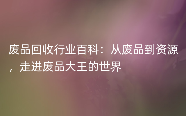 废品回收行业百科：从废品到资源，走进废品大王的世界