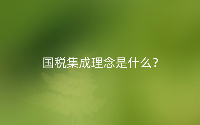 国税集成理念是什么？