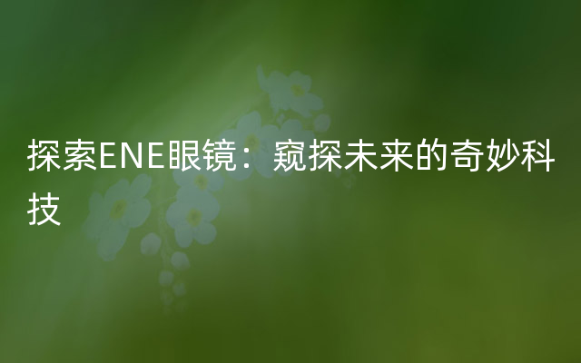 探索ENE眼镜：窥探未来的奇妙科技