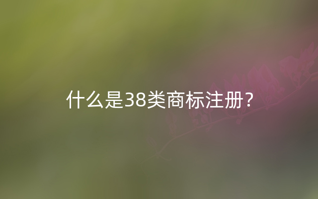 什么是38类商标注册？