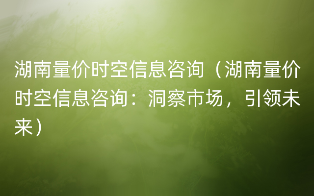 湖南量价时空信息咨询（湖南量价时空信息咨询：洞察市场，引领未来）