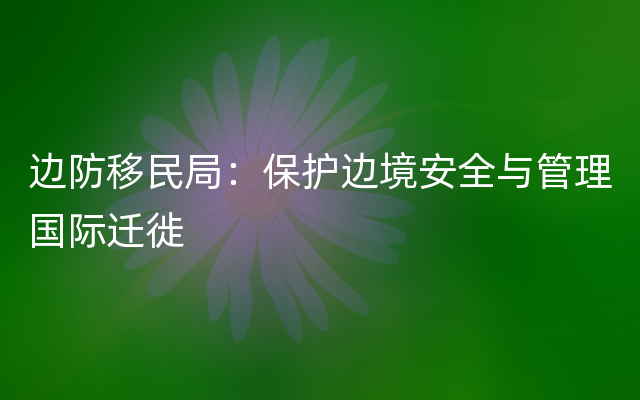 边防移民局：保护边境安全与管理国际迁徙