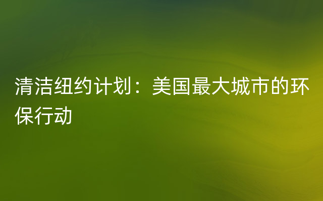 清洁纽约计划：美国最大城市的环保行动