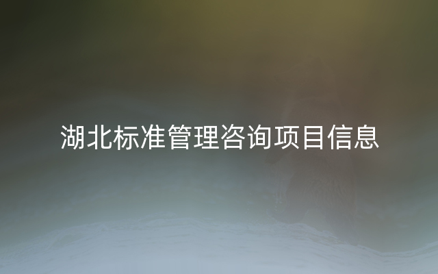 湖北标准管理咨询项目信息