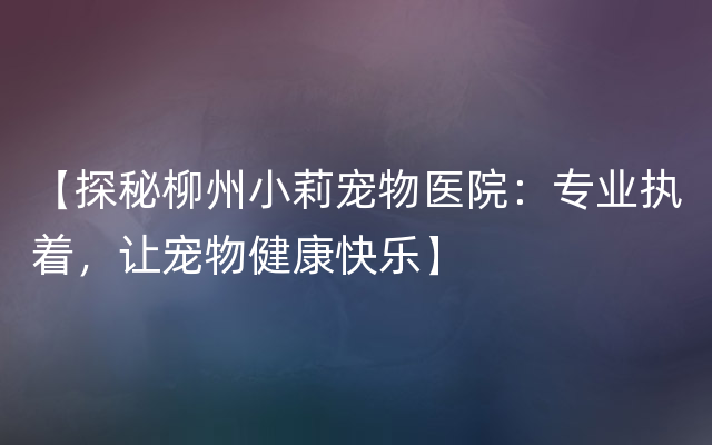 【探秘柳州小莉宠物医院：专业执着，让宠物健康快乐】