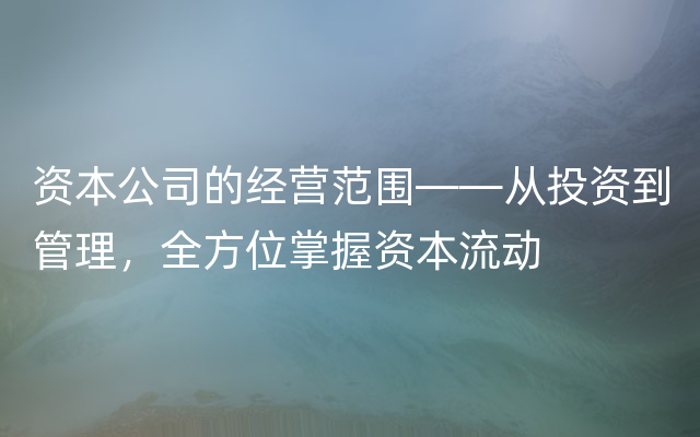 资本公司的经营范围——从投资到管理，全方位掌握资本流动