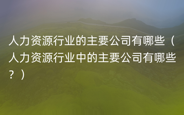 人力资源行业的主要公司有哪些（人力资源行业中的主要公司有哪些？）