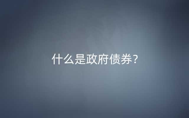 什么是政府债券？