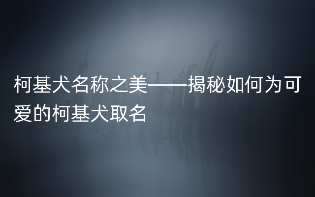 柯基犬名称之美——揭秘如何为可爱的柯基犬取名