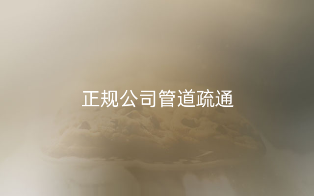 正规公司管道疏通