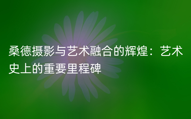 桑德摄影与艺术融合的辉煌：艺术史上的重要里程碑