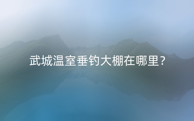 武城温室垂钓大棚在哪里？