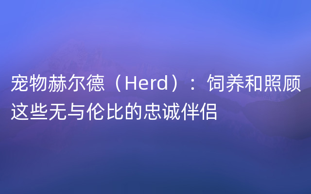 宠物赫尔德（Herd）：饲养和照顾这些无与伦比的忠诚伴侣