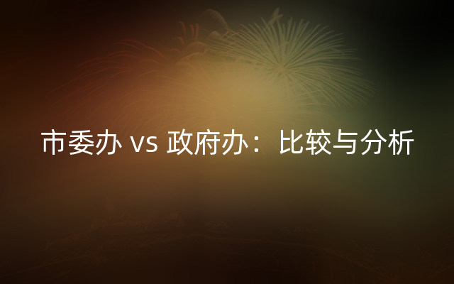 市委办 vs 政府办：比较与分析