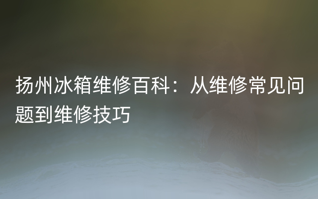 扬州冰箱维修百科：从维修常见问题到维修技巧