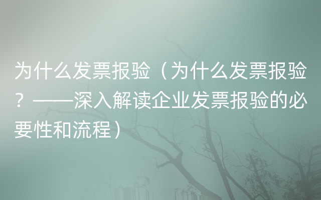 为什么发票报验（为什么发票报验？——深入解读企业发票报验的必要性和流程）