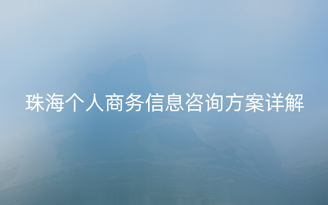 珠海个人商务信息咨询方案详解