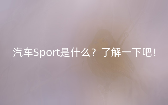 汽车Sport是什么？了解一下吧！