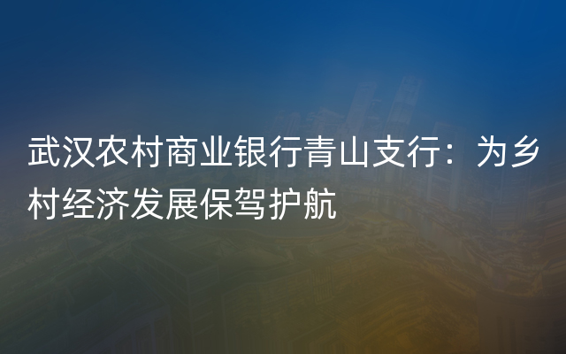 武汉农村商业银行青山支行：为乡村经济发展保驾护